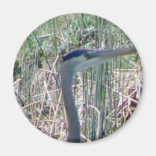 Imã Acima de próximo e de pessoal