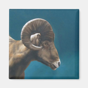 Imã Acima na elevação