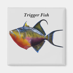 Imã Acionador de peixes