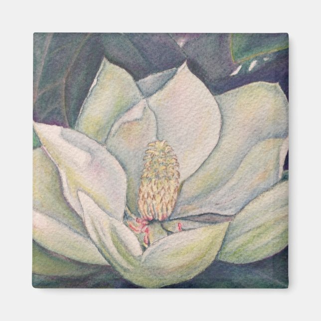 Imã Aço Magnolia (Frente)