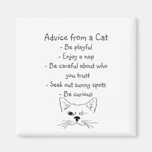Imã Aconselhamento de Enganar Gato Diversão Humor Ani