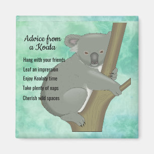 Imã Aconselhamento de um Magnet Design Koala