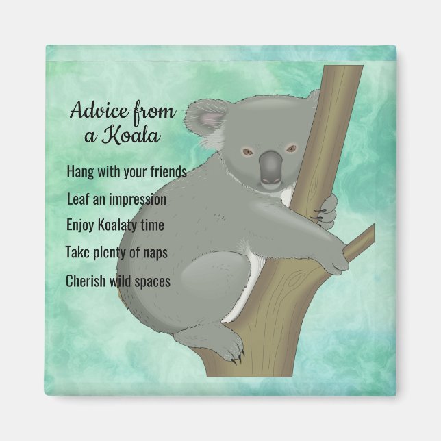 Imã Aconselhamento de um Magnet Design Koala (Frente)