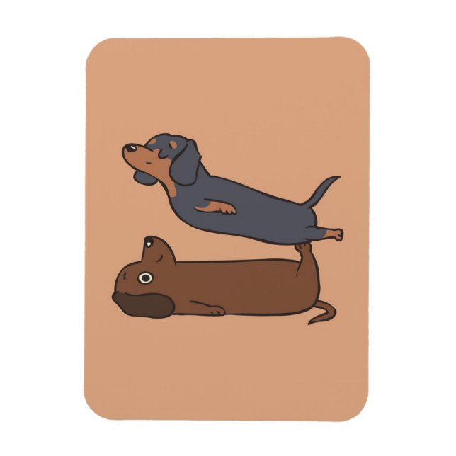 Ímã Acroyoga Dachshund | Dachshund Lover Gift (Vertical)
