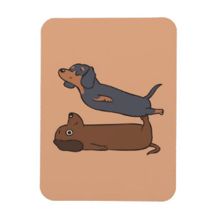 Ímã Acroyoga Dachshund Presente de Dachshund Lover