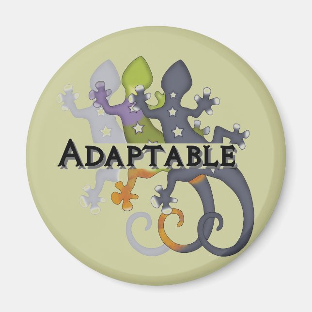 Imã Adaptável Chameleon (Frente)