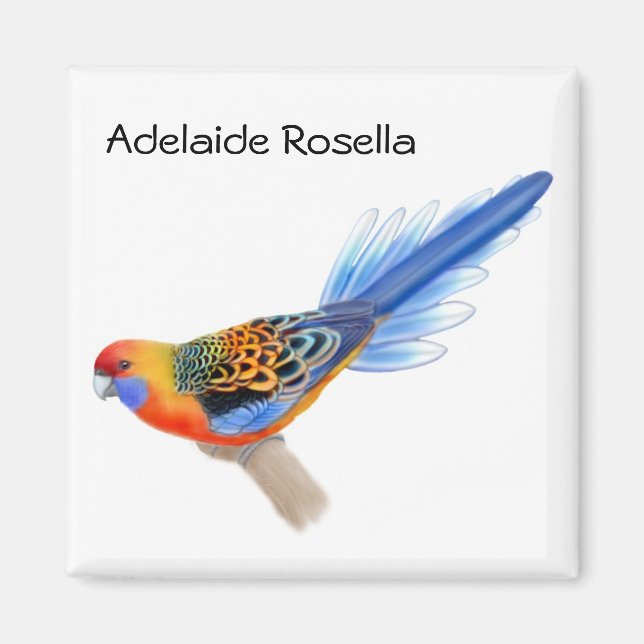 Imã Adelaide Rosella Parrot Magnet (Frente)