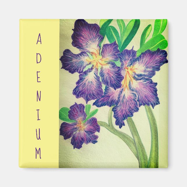 Imã Adenio (Frente)