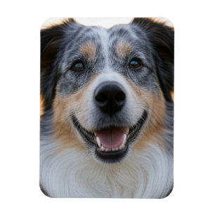 Ímã Adicionar Foto de Animal Personalizar