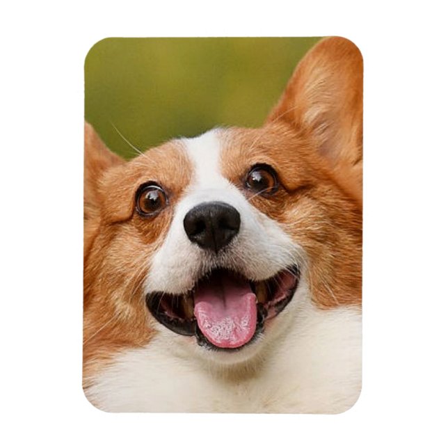 Ímã Adicionar Foto de Cão Personalizada Personalizada (Vertical)