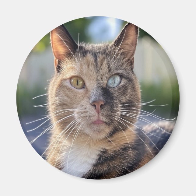 Imã Adicionar Personalização de Foto de Cat (Frente)