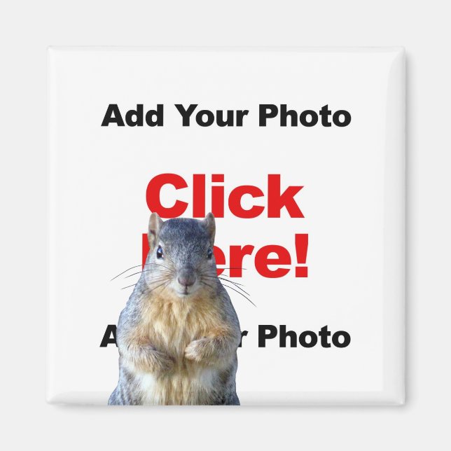 Imã Adicionar um ímã personalizado de esquilo (Frente)