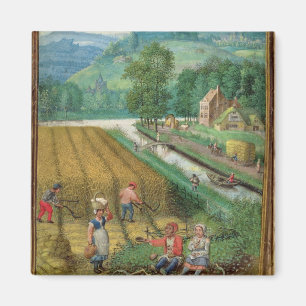 Imã Adicione 18855 setembro: colheita, ploughing e