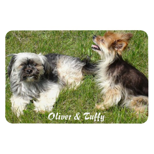 Ímã Adicione sua foto favorita (Horizontal)