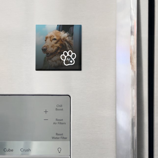 Imã Adicione Sua Própria Foto de Cachorro Pets Monogra (In Situ (Fridge))