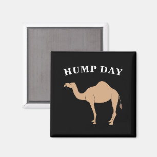 Imã Adivinhem Que Dia É O Deserto Do Camelo Hump Day