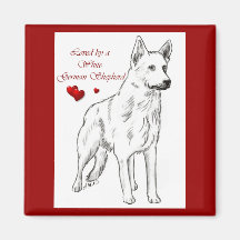 Adorado Por Um German shepherd Branco