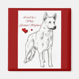 Imã Adorado Por Um German shepherd Branco