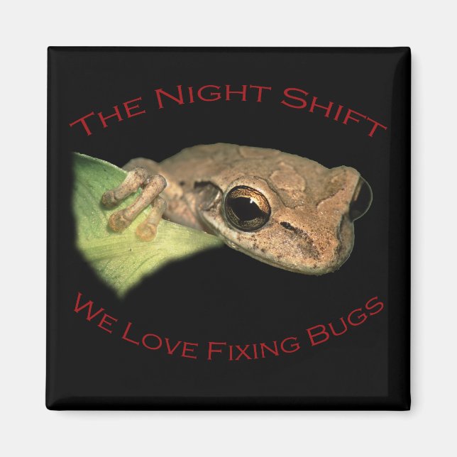 Imã Adoramos consertar Insetos (Frente)