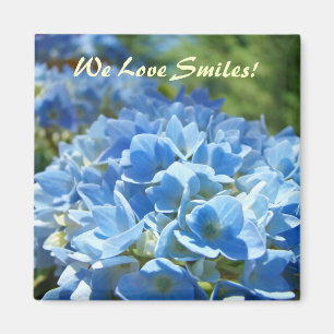 Imã Adoramos Sorrisos! Ímanes Blue Hydrangea Flowers