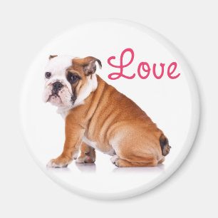 Imã Adorável Amante de Bulldog Inglês Cachorro Engraça