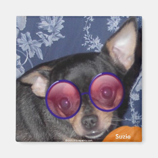 Imã Adorável Cute Suzie Doozie Chihuahua