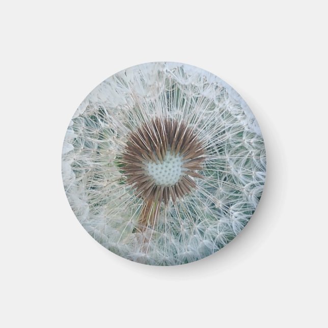 Imã Adorável Dandelion Branco (Frente)