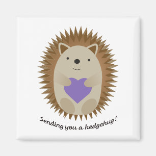 Imã Adorável Enviando-Lhe Um Hedgehog Hedgehug