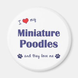 Imã Adoro Meus Poodles Miniatura (Cães Múltiplos)