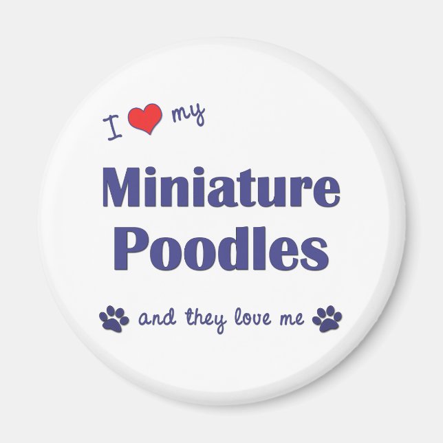 Imã Adoro Meus Poodles Miniatura (Cães Múltiplos) (Frente)