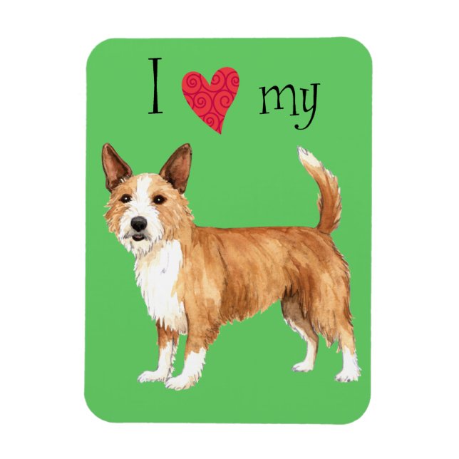 Ímã Adoro o meu Podengo Pequeno Português (Vertical)