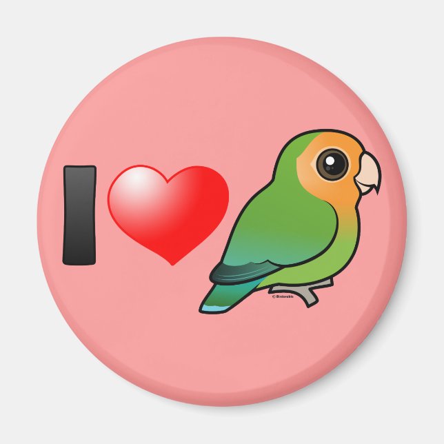 Imã Adoro Orangeface Peach-face Lovebird (Frente)