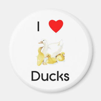 Imã Adoro patos, Magnet