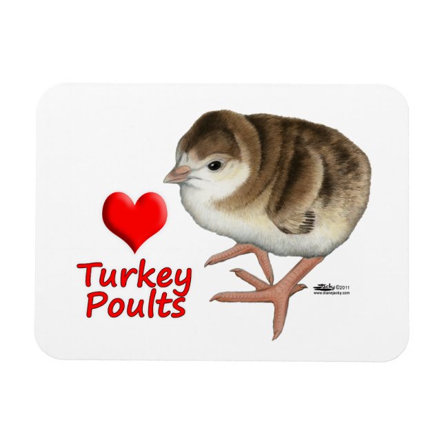 Ímã Adoro Poults Turcos! (Horizontal)
