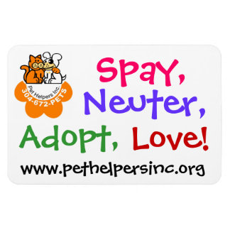 Ímã Adotar, Amor Magnet