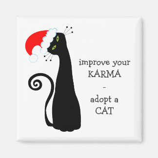 Imã Adotar um Gato