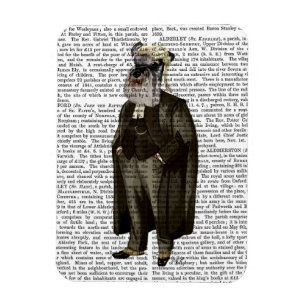 Ímã Advogado Schnauzer