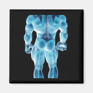 Imã Afecções musculares