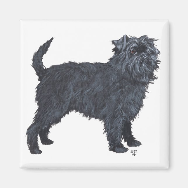 Imã Affenpinscher (Frente)