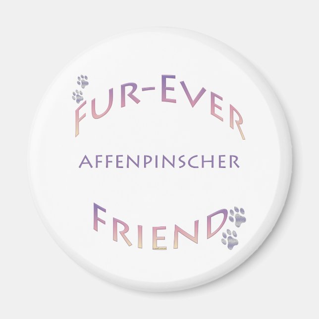 Imã Affenpinscher Fuere (Frente)