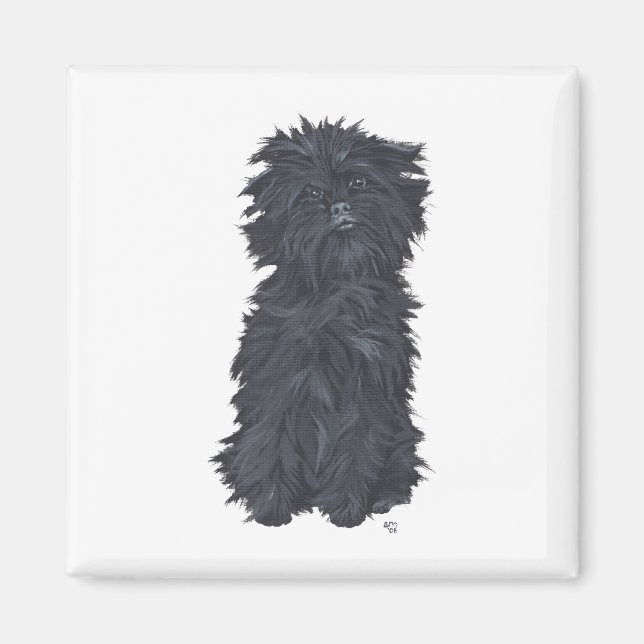 Imã Affenpinscher Sentado (Frente)