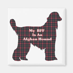 IMÃ AFGHAN HOUND BFF