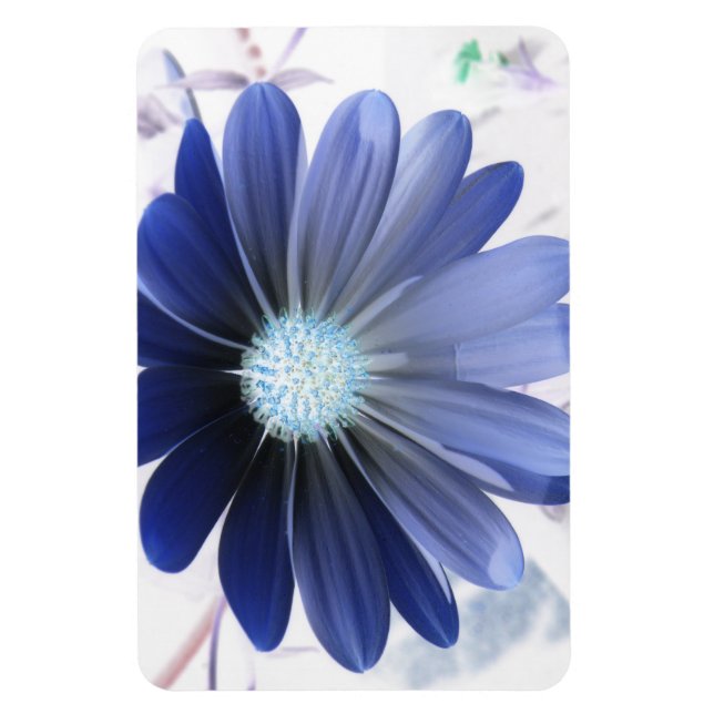Ímã África Daisy Gloss Blue Premium Magnet (Vertical)