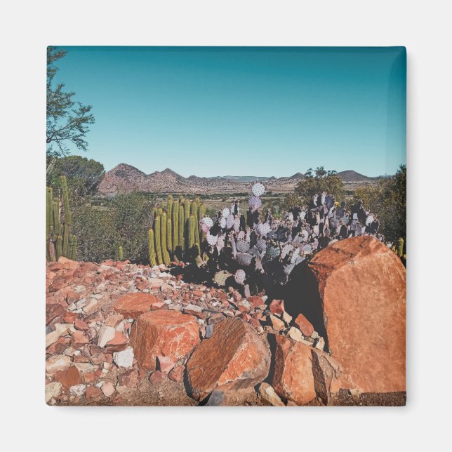 Imã África Deserto Paisagem Natureza Plantas Cactus (Frente)