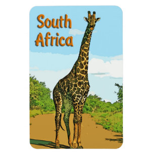 Ímã África do Sul