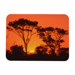 Ímã África do Sul. Pôr do sol africano.