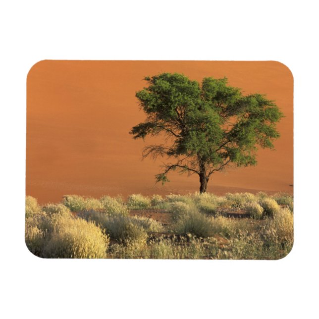 Ímã África, Namíbia, Parque Nacional do Namibe, Sossus (Horizontal)