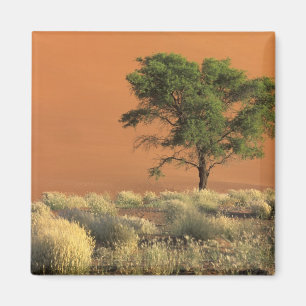 Imã África, Namíbia, Parque Nacional Namib, Sossusvl