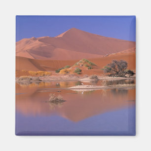 Imã África, Namíbia. Parque Namib-Naukluft. 2