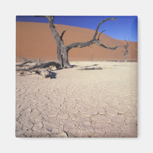Imã África, Namíbia, Região de Sossusvlei. Dunas de ar